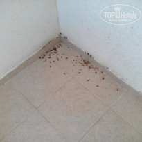 фото из отзыва ID 1375476