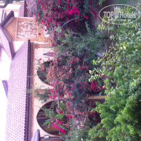 фото из отзыва ID 1375493