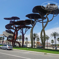 фото из отзыва ID 1375501