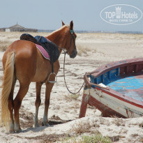 фото из отзыва ID 1375506