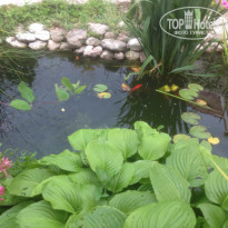 фото из отзыва ID 1375538