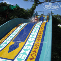 фото из отзыва ID 1375890