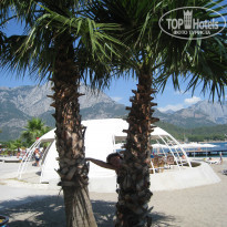 фото из отзыва ID 1375890