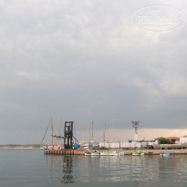 фото из отзыва ID 1375935