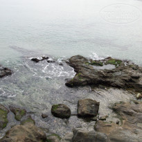 фото из отзыва ID 1375935