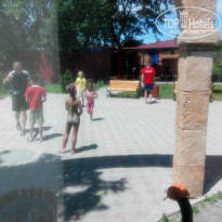 фото из отзыва ID 1375912