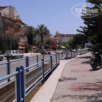 фото из отзыва ID 1376017