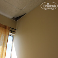 фото из отзыва ID 1376084