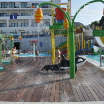 фото из отзыва ID 1376152