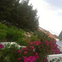 фото из отзыва ID 1376221