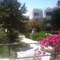 фото из отзыва ID 1376221