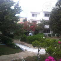 фото из отзыва ID 1376221