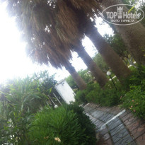 фото из отзыва ID 1376221