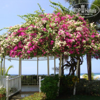 фото из отзыва ID 1376263