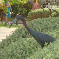 фото из отзыва ID 1376263