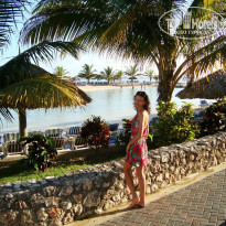 фото из отзыва ID 1376263