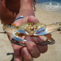 фото из отзыва ID 1376263