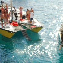 фото из отзыва ID 1376263