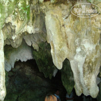 фото из отзыва ID 1376263