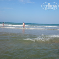 фото из отзыва ID 1376270