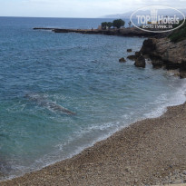 фото из отзыва ID 1376271