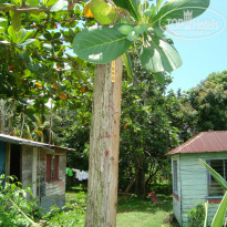 фото из отзыва ID 1376263