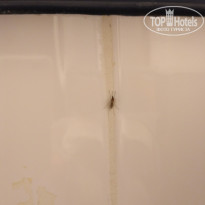 фото из отзыва ID 1376364