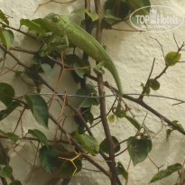 фото из отзыва ID 1376388