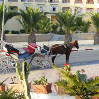 фото из отзыва ID 1376411