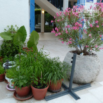 фото из отзыва ID 1376482