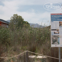 фото из отзыва ID 1376486