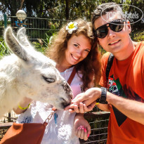 фото из отзыва ID 1376517