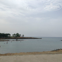 фото из отзыва ID 1376553