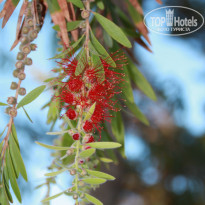 фото из отзыва ID 1376609