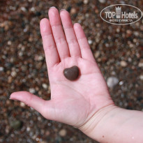 фото из отзыва ID 1376609