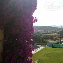 фото из отзыва ID 1376642