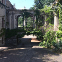 фото из отзыва ID 1376702