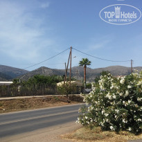 фото из отзыва ID 1376775