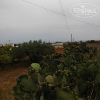 фото из отзыва ID 1376775