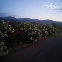 фото из отзыва ID 1376775