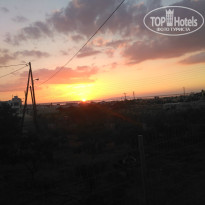 фото из отзыва ID 1376775