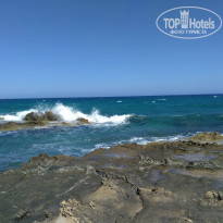 фото из отзыва ID 1376775