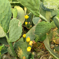 фото из отзыва ID 1376775