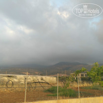 фото из отзыва ID 1376775