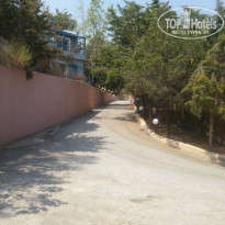 фото из отзыва ID 1377260