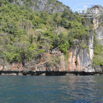 фото из отзыва ID 1377265