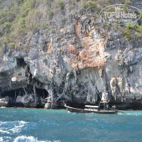 фото из отзыва ID 1377265