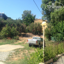 фото из отзыва ID 1377397