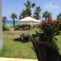 фото из отзыва ID 1377414