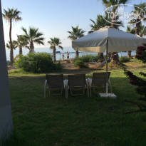 фото из отзыва ID 1377414